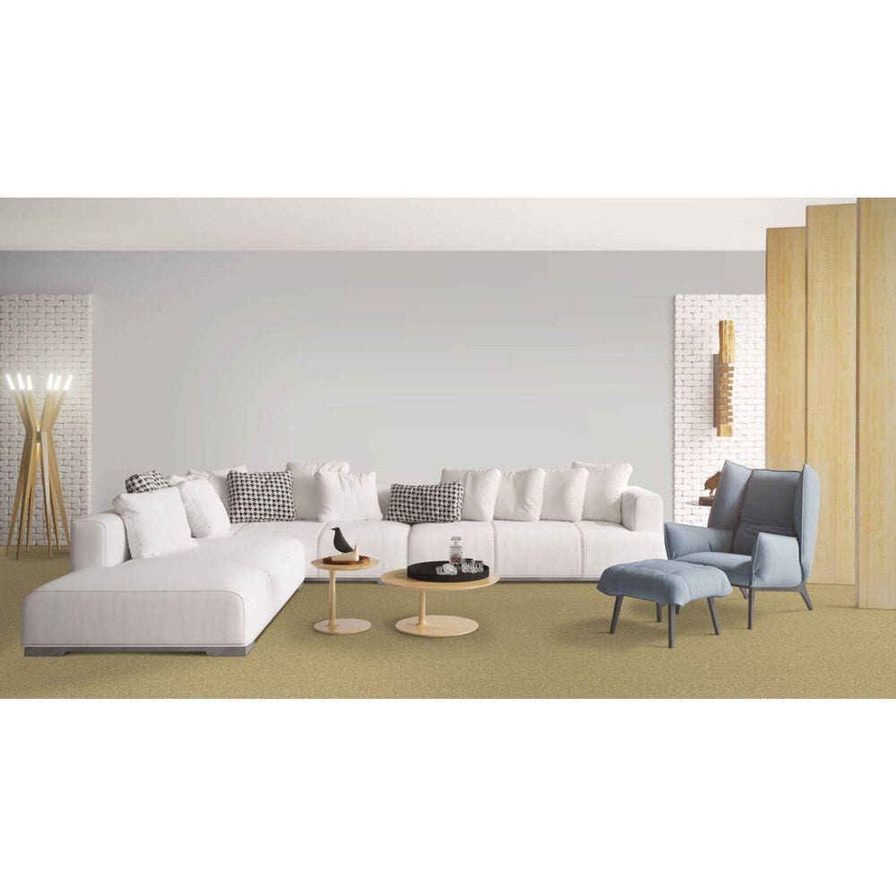 Dixie Home Simplicity Carpet in Cameo, , large