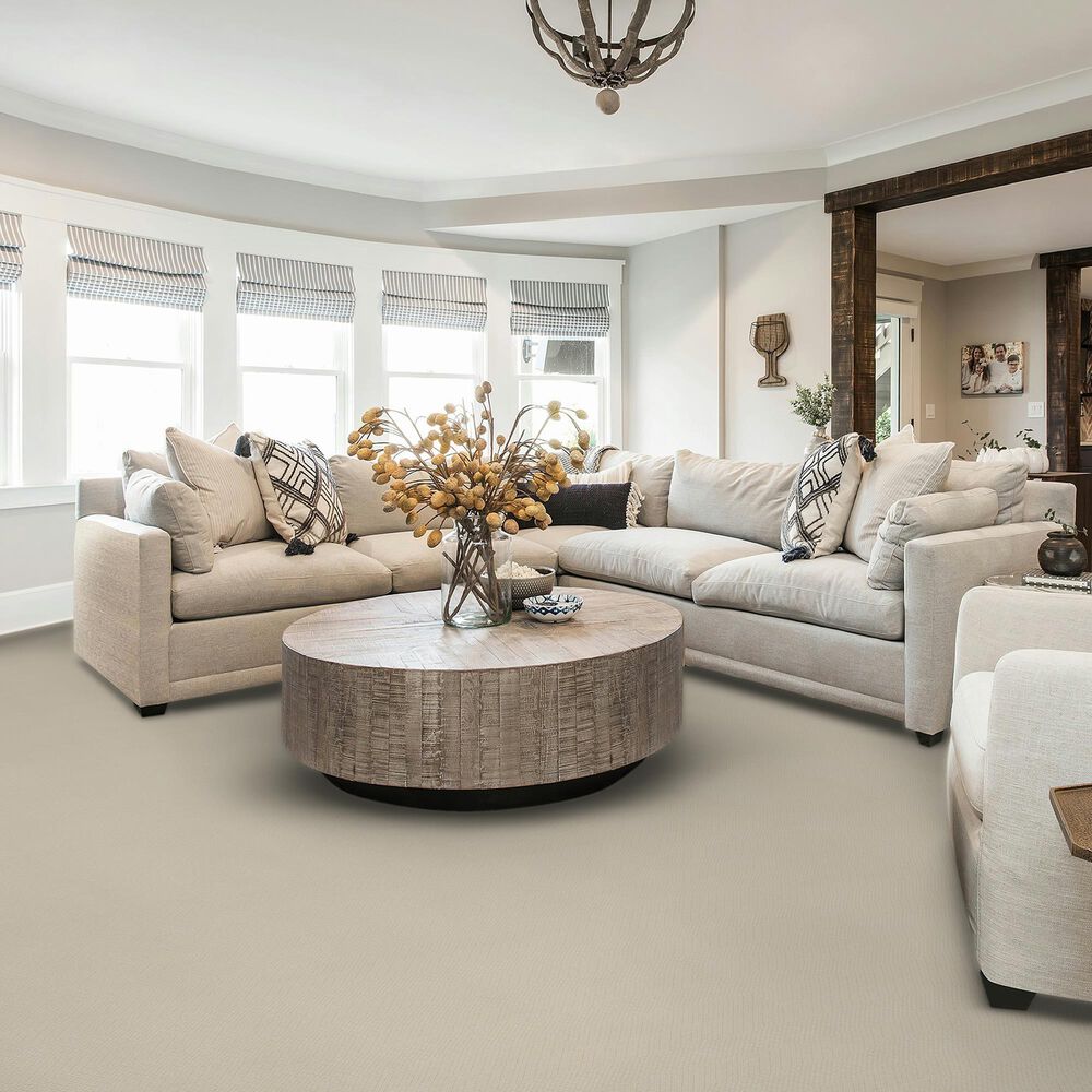 Karastan Stippled Carpet in Haute, , large