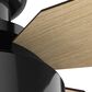 Hunter Cranbrook Low Profile 52" Ceiling Fan with Light in Gloss Black, , large