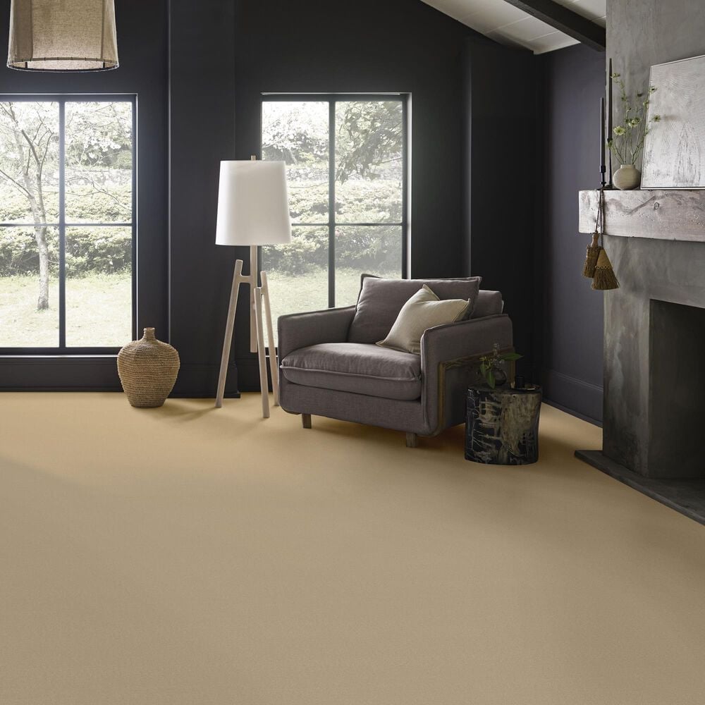 Anderson Tuftex Finery Carpet in Toasted Almond, , large