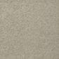 Shaw Keen Senses I Carpet in Barista, , large