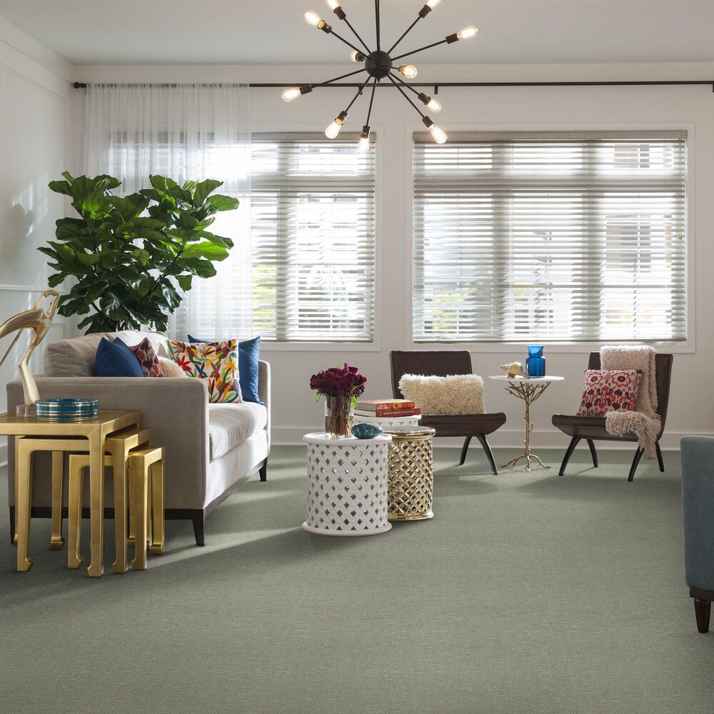 Anderson Tuftex Contour Carpet in Rain Dance, , large