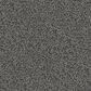 Dixie Home Guard Carpet in Border Collie, , large