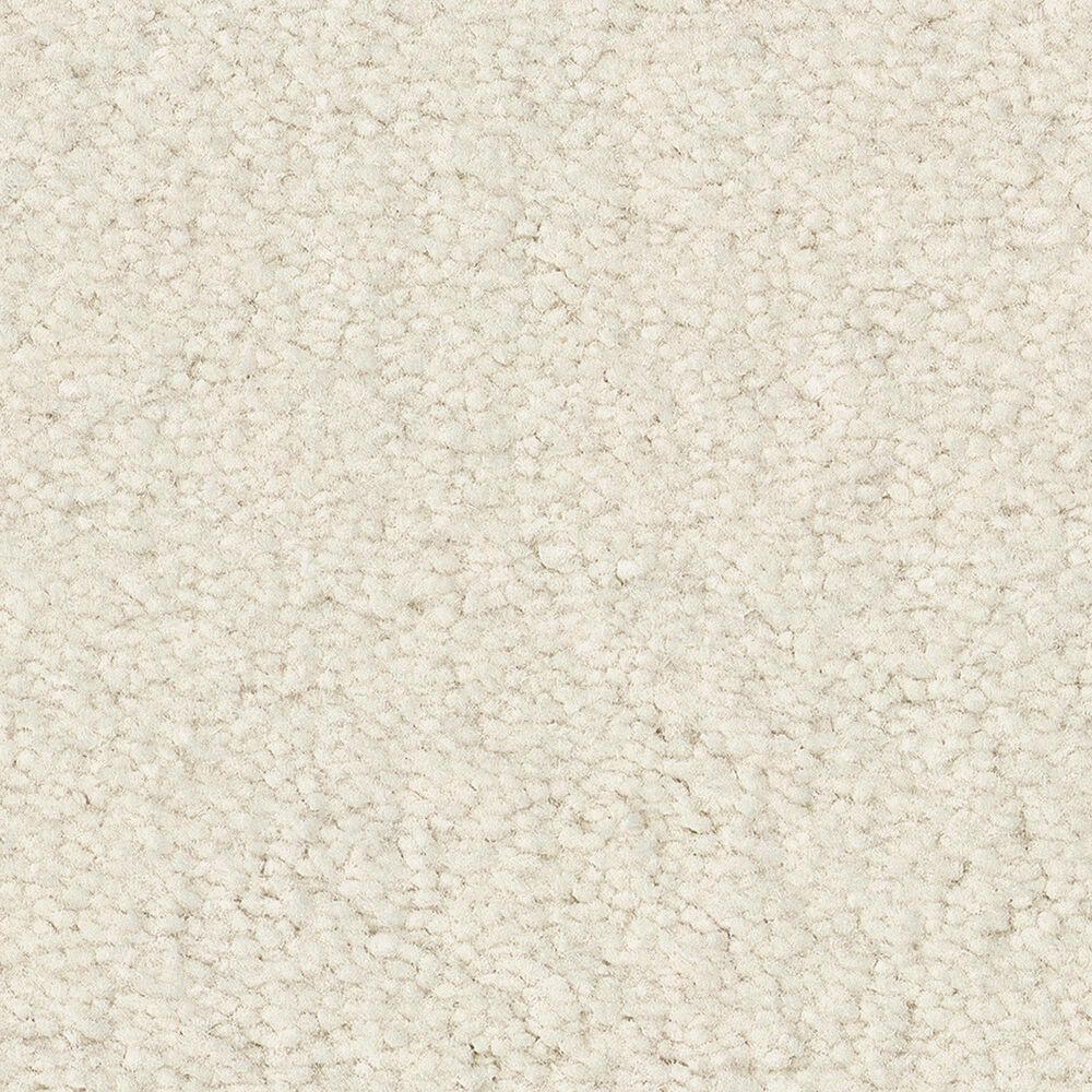 Anderson Tuftex Finery Carpet in Cotton, , large
