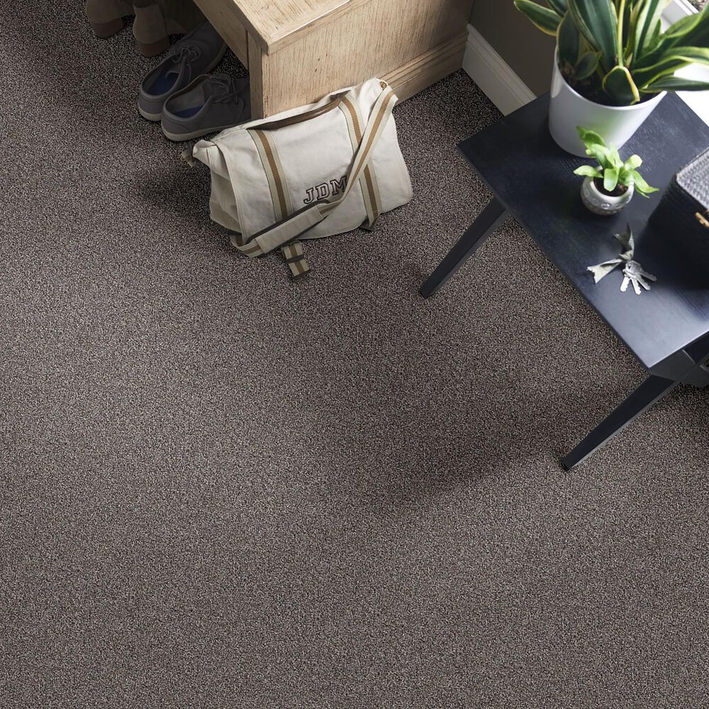 Shaw Influencer Carpet in Desert View, , large
