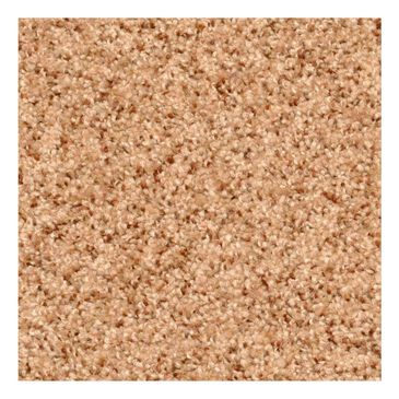 Dixie Home Paula Carpet in Pepper Spice, , large