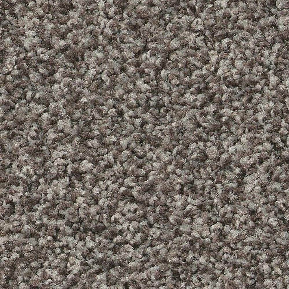 Shaw Tonal Comfort Ii Carpet in French Market, , large