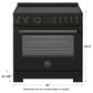 Bertazzoni Professional 5.7 Cu.Ft. Induction Range with Convection and Self-Cleaning in Carbonio, , large