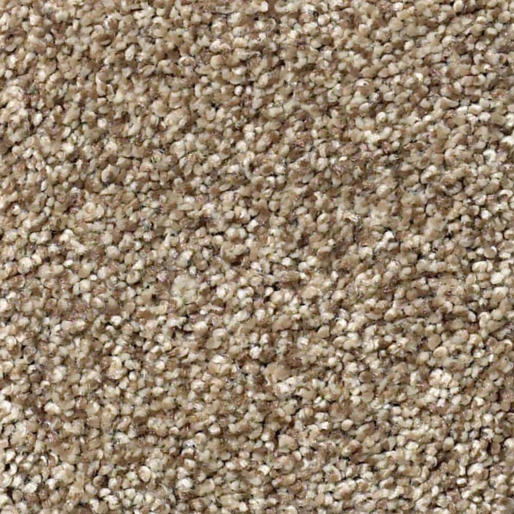 Shaw Comforting II Carpet in Riverbank, , large