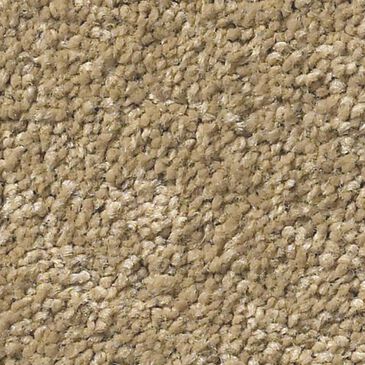 Anderson Tuftex Pawparazzi I Carpet in Golden Straw, , large