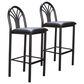 Linon Home Decor Thayer Bar Stool in Black (Set of 2), , large