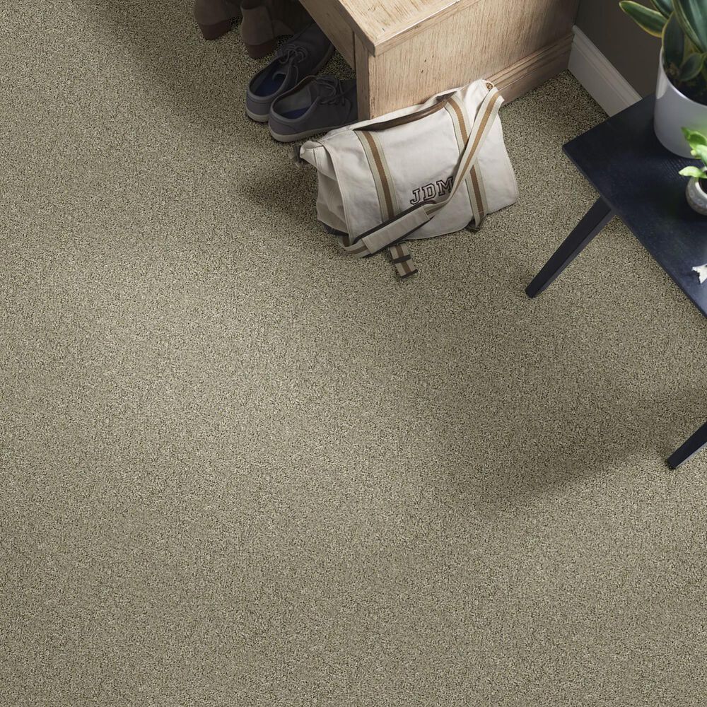 Shaw Simply the Best All Set I Carpet in Tree House, , large