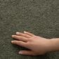 Philadelphia Champagne Taste II Carpet in Rerooted Nature, , large