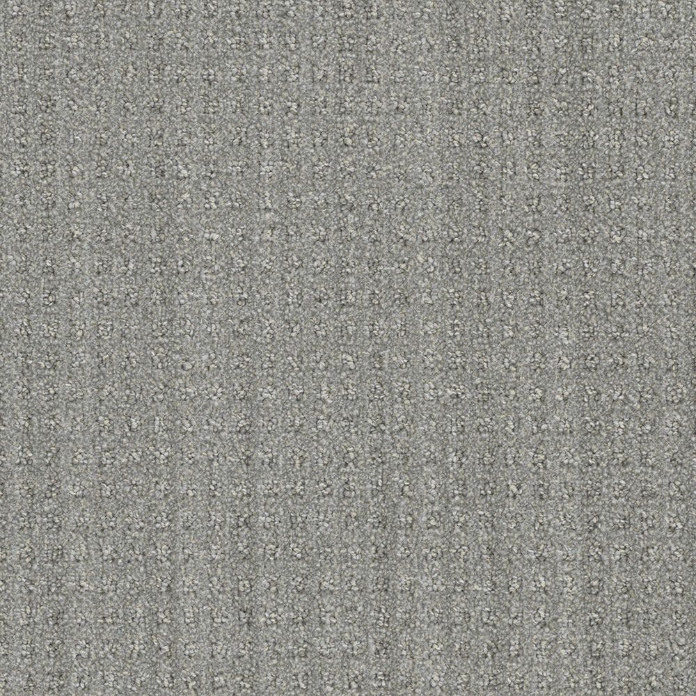 Dream Weaver Dublin Carpet in Moll"s Gap, , large