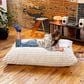Jaxx Saxx 5.5" Bean Bag Floor Pillow and Lounger in Ivory, , large