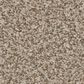 Anderson Tuftex Avalon Bay Carpet in Sugar Cookie, , large