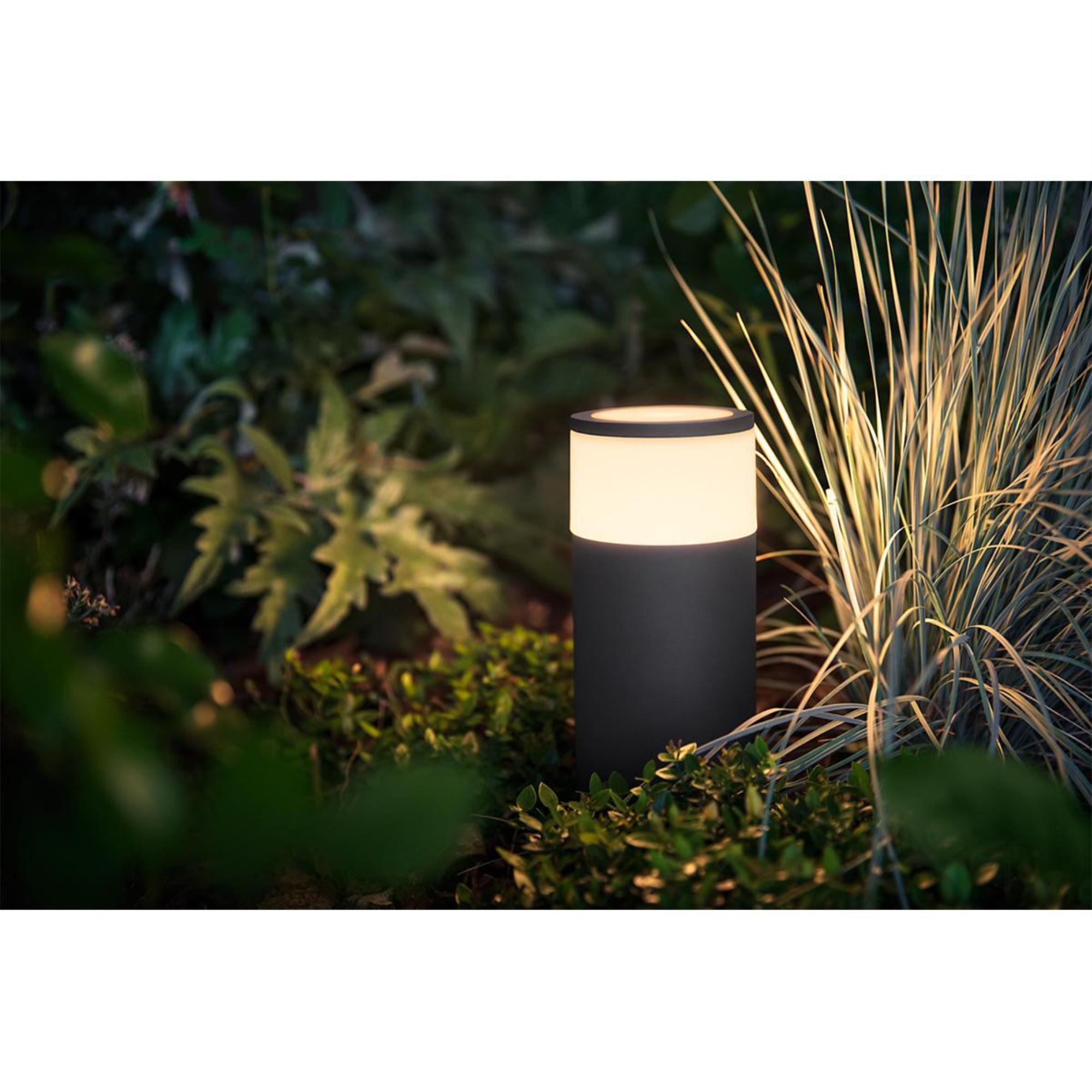 Hue outdoor calla on sale