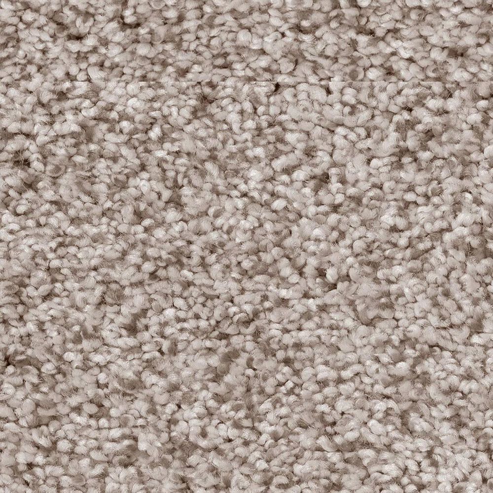 Anderson Tuftex Sumptuous II Carpet in Granite Dust, , large