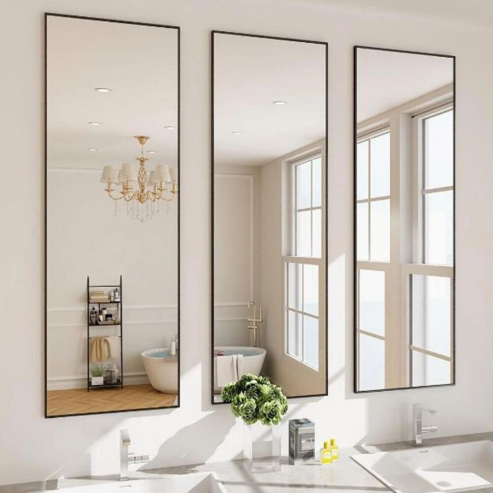 HOMLUX 14" x 48" Door Wall Mount Mirror in Black, , large