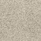 Dixie Home Natural Beauty Carpet in Granite, , large