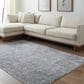Surya Dresden DRE-2319 Medium Gray, Gray, White, Light Slate, Mustard and Rust 7"10" x 10"2" Area Rug, , large
