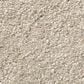 Shaw Well Grounded I 12" Carpet in Dreamy, , large