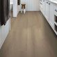 Shaw Dwell Cozy Taupe 9" x 60" Luxury Vinyl Plank, , large