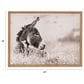 Creative Coop Abode 24" x 18" Donkey Framed Canvas Wall Decor in Multicolor, , large