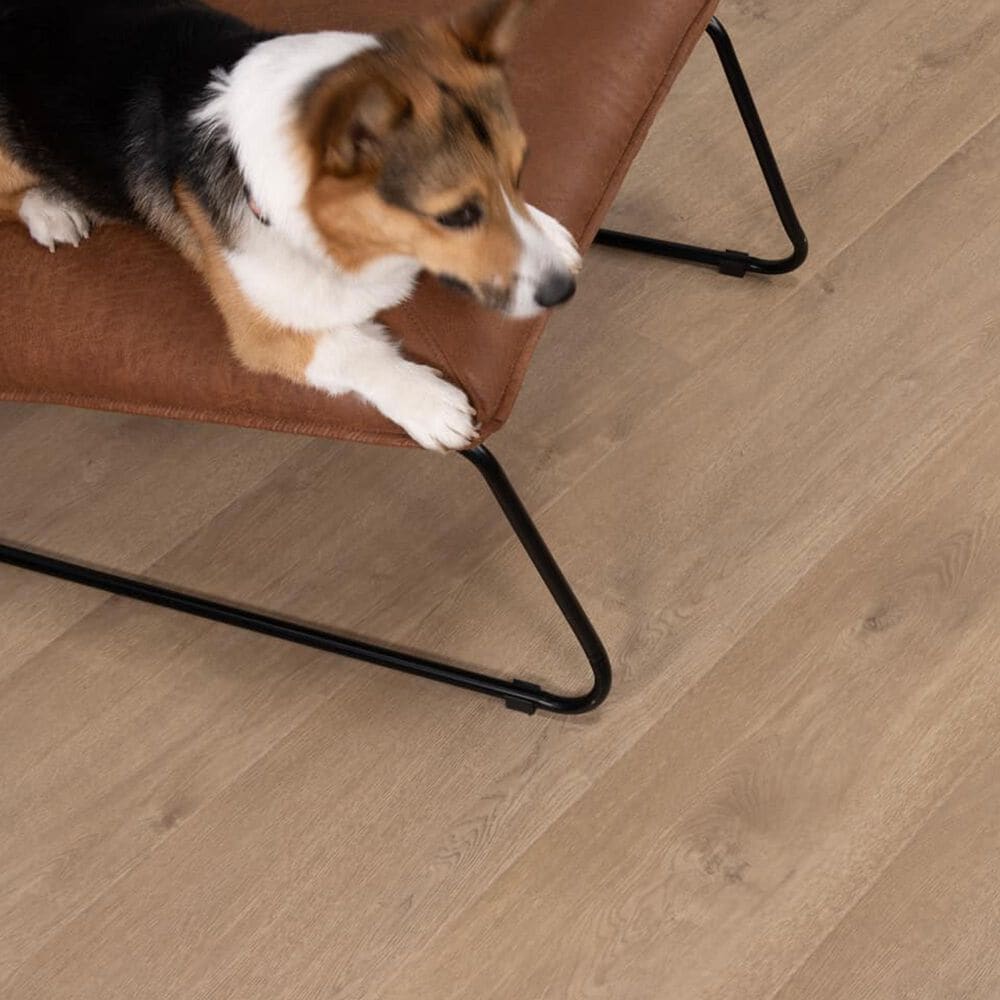 Cali Flooring Santa Cruz Del Mar Drift 9" x 72" Laminate, , large