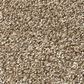 Shaw Find Your Comfort TT II Carpet in Camping Trip, , large