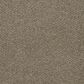 Dream Weaver Luxor II Carpet in Sienna Sand, , large