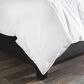 Allied Home Down King Comforter in White, , large