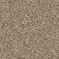 Anderson Tuftex Elegant Beauty Carpet in Tuffet, , large