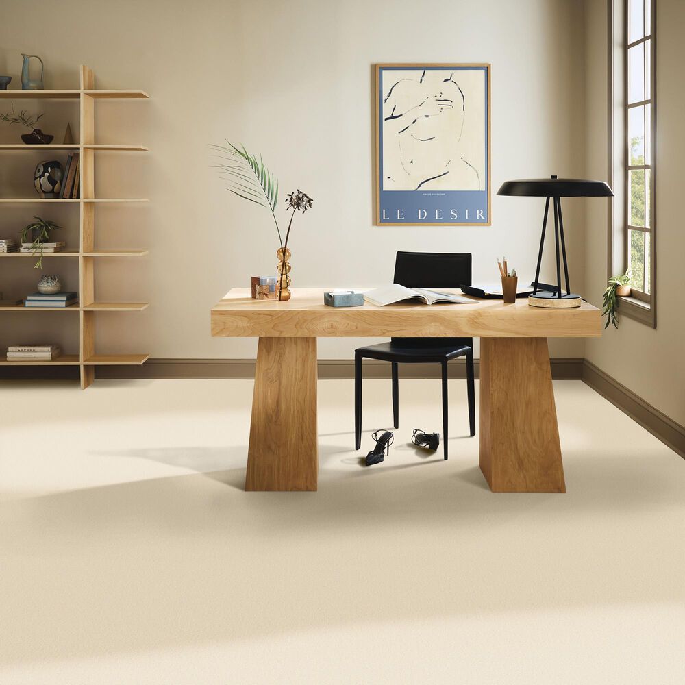 Anderson Tuftex Finery Carpet in Swiss Alps, , large