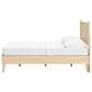 Ashley Cabinella Full Platform Bed in Natural, , large