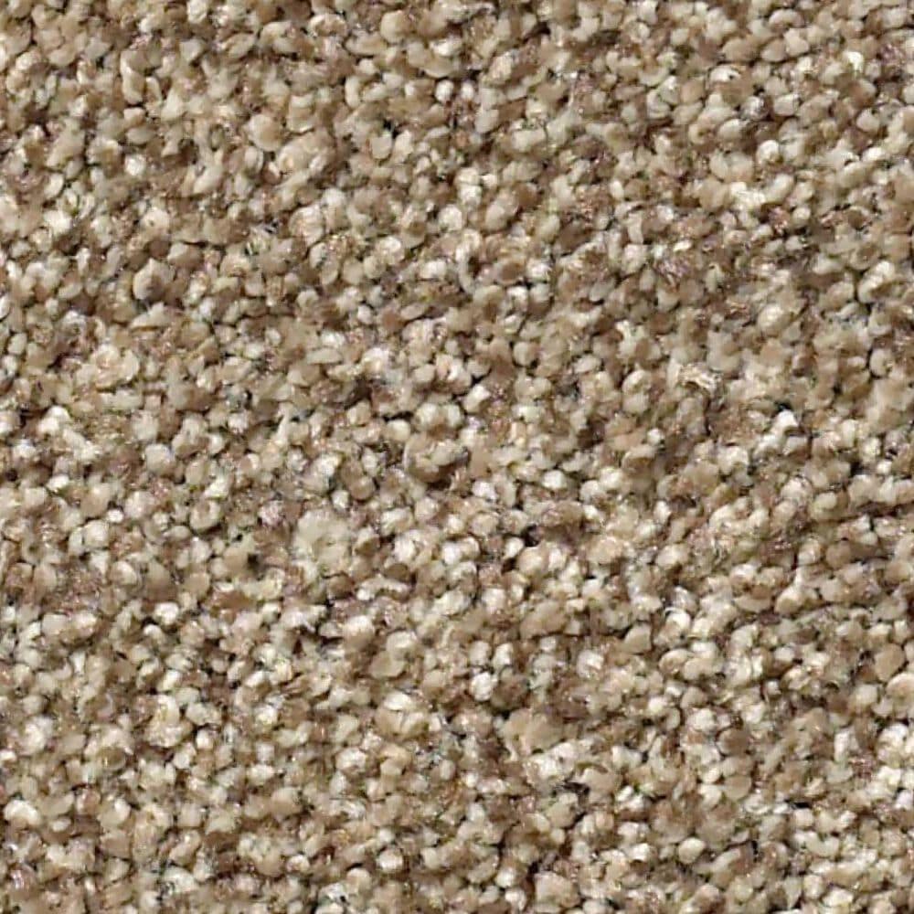 Shaw Tonal Comfort Ii Carpet in Camping Trip, , large