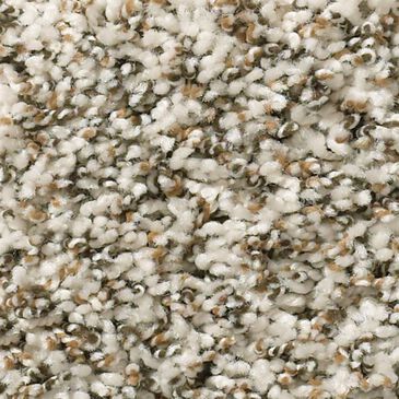 Shaw Break Away Berber Carpet in Canvas, , large