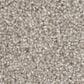 Dixie Home Dx835 Carpet in Dune, , large