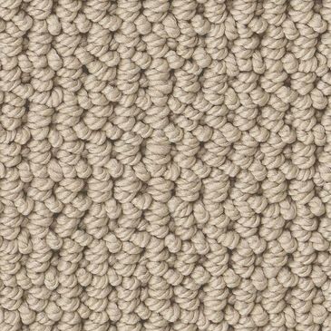 Anderson Tuftex Arden Park Carpet in Authentic, , large