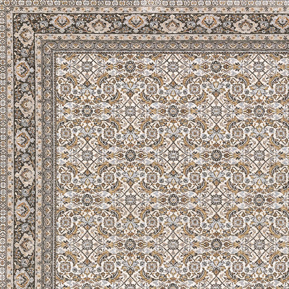 Oriental Weavers Maharaja Belita 2061N 9&#39;10&quot; x 12&#39;10&quot; Ivory Area Rug, , large