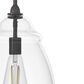 Hunter Dunshire 10.5" 1-Light Medium Pendant with Clear Shade in Noble Bronze, , large