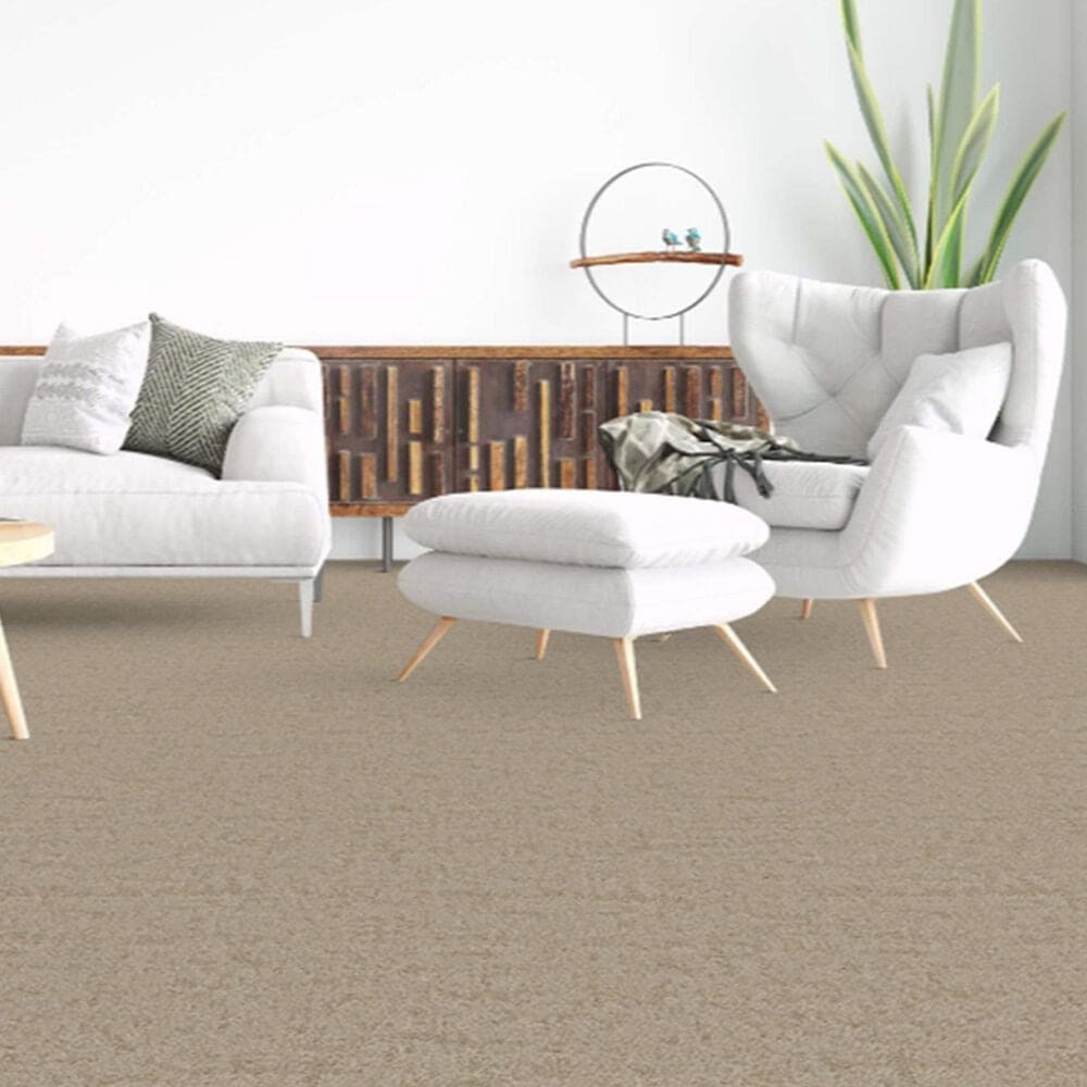 Dixie Home Genuine Carpet in Aboveboard, , large
