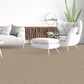 Dixie Home Genuine Carpet in Aboveboard, , large