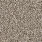 Shaw Affirmation II Carpet in Plateau, , large