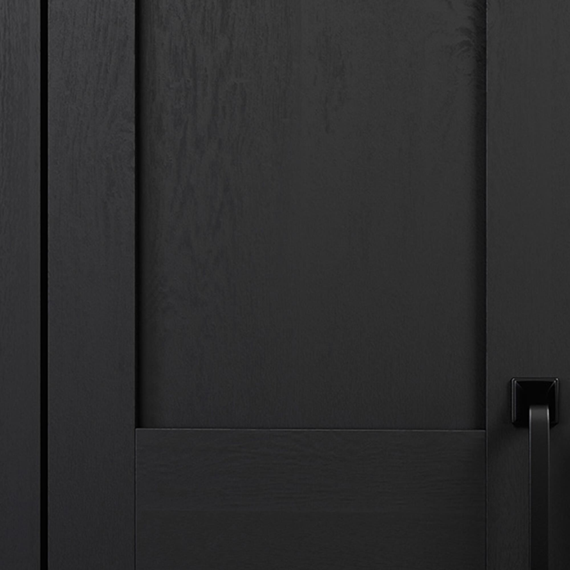 Sauder Two-Door Storage Cabinet in Raven Oak