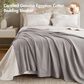 Hampton Park Egyptian Cotton King Blanket in Grey, , large
