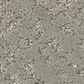 Shaw Sincere Focus Carpet in Organic Grown, , large