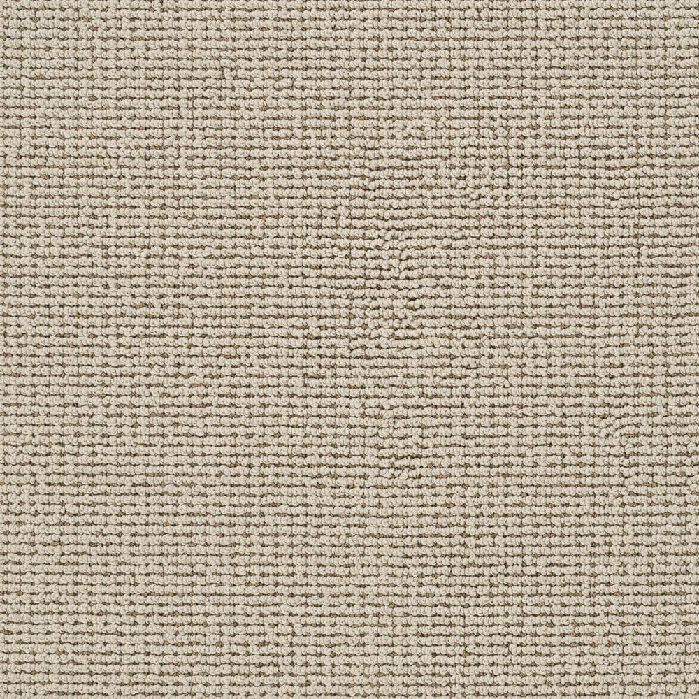 Dixie Home Pleasant Valley Carpet in Earthen, , large