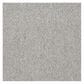 Shaw Capital III Carpet in Power Play, , large
