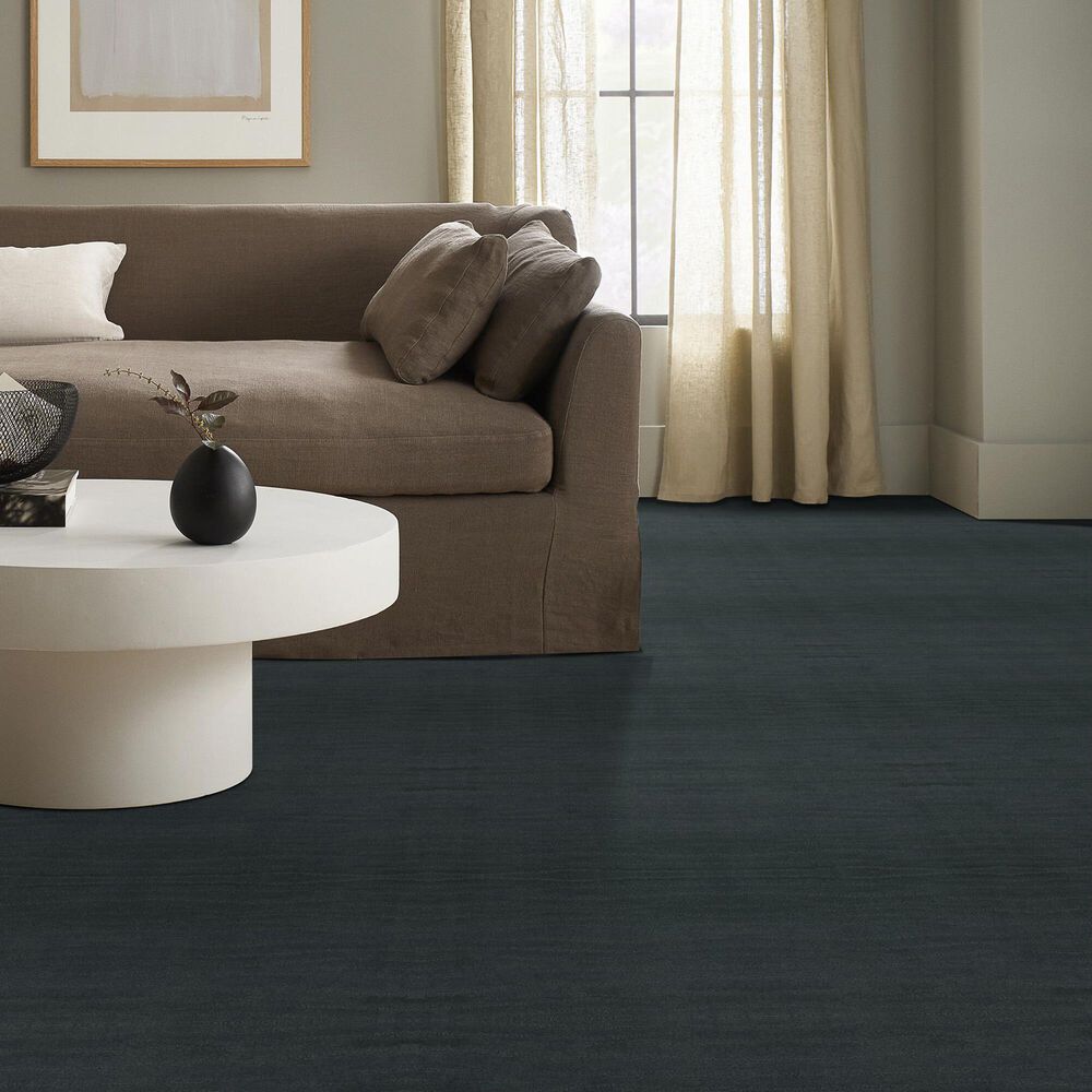 Shaw West Creek Carpet in Marina, , large